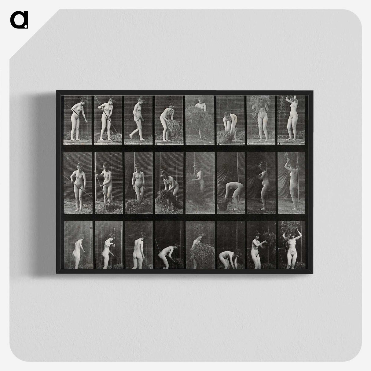 1-79_Eadweard-Muybridge_blk-crop