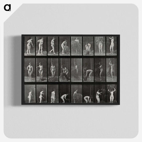 1-79_Eadweard-Muybridge_blk-crop