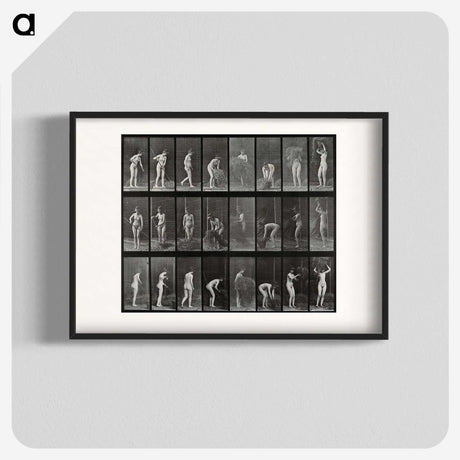 1-79_Eadweard-Muybridge_blk