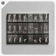 1-79_Eadweard-Muybridge_canvas