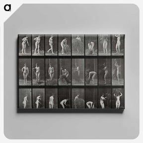 1-79_Eadweard-Muybridge_canvas