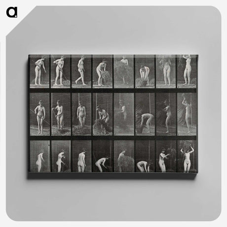1-79_Eadweard-Muybridge_canvas