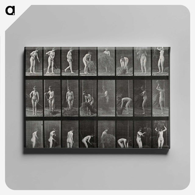 1-79_Eadweard-Muybridge_canvas