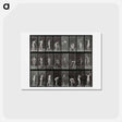 アートポストカード-Hay Carrier
 - エドワード マイブリッジ Postcard.