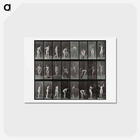 アートポストカード-Hay Carrier
 - エドワード マイブリッジ Postcard.