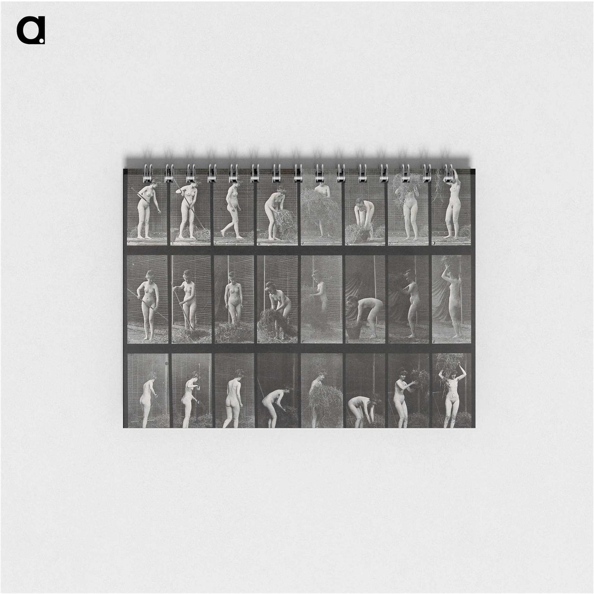 1-79_Eadweard-Muybridge_memo