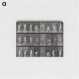 1-79_Eadweard-Muybridge_memo