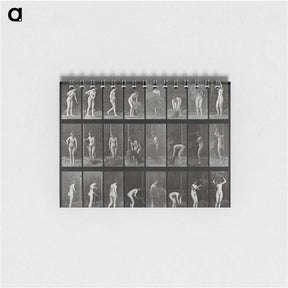 1-79_Eadweard-Muybridge_memo