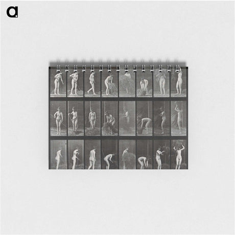 1-79_Eadweard-Muybridge_memo