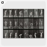 1-79_Eadweard-Muybridge_picture-crop