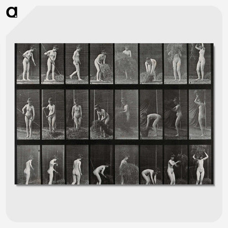 1-79_Eadweard-Muybridge_picture-crop