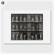 1-79_Eadweard-Muybridge_picture