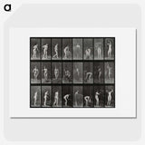 1-79_Eadweard-Muybridge_picture
