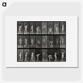 1-79_Eadweard-Muybridge_picture