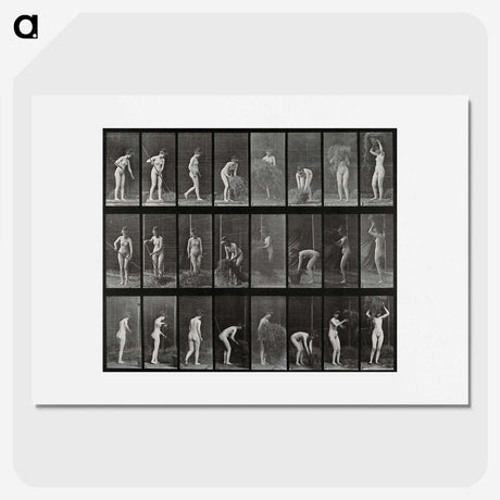 1-79_Eadweard-Muybridge_picture