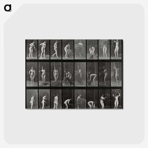 1-79_Eadweard-Muybridge_postcard