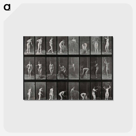 アートポストカード-Hay Carrier
 - エドワード マイブリッジ Postcard.