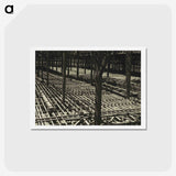 1-79_Eric-Lee-Johnson_hagaki