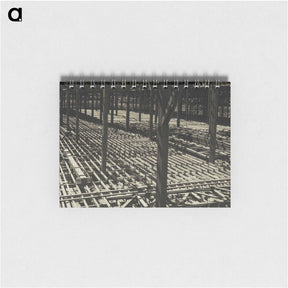 1-79_Eric-Lee-Johnson_memo