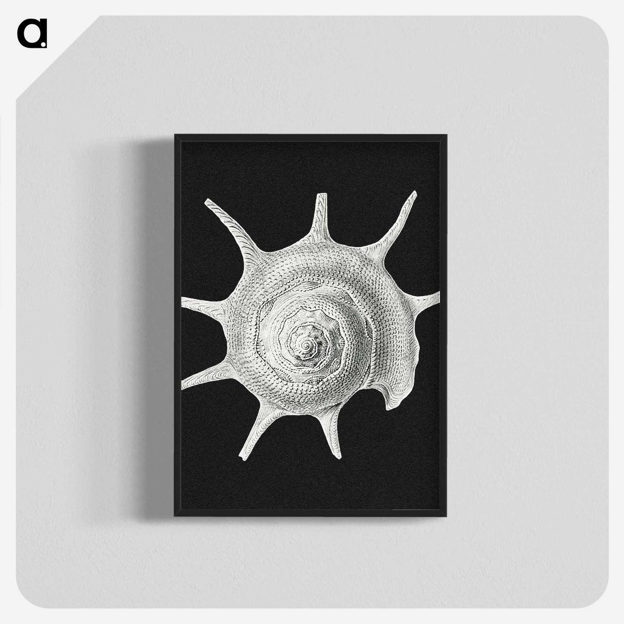 1-79_Ernst-Haeckel_blk-crop