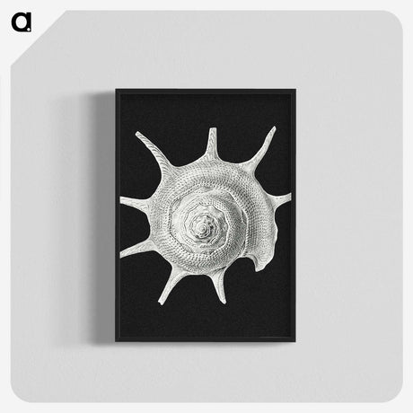 1-79_Ernst-Haeckel_blk-crop
