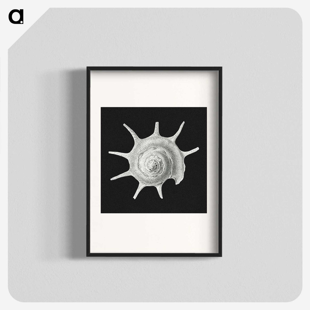1-79_Ernst-Haeckel_blk