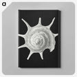 1-79_Ernst-Haeckel_canvas