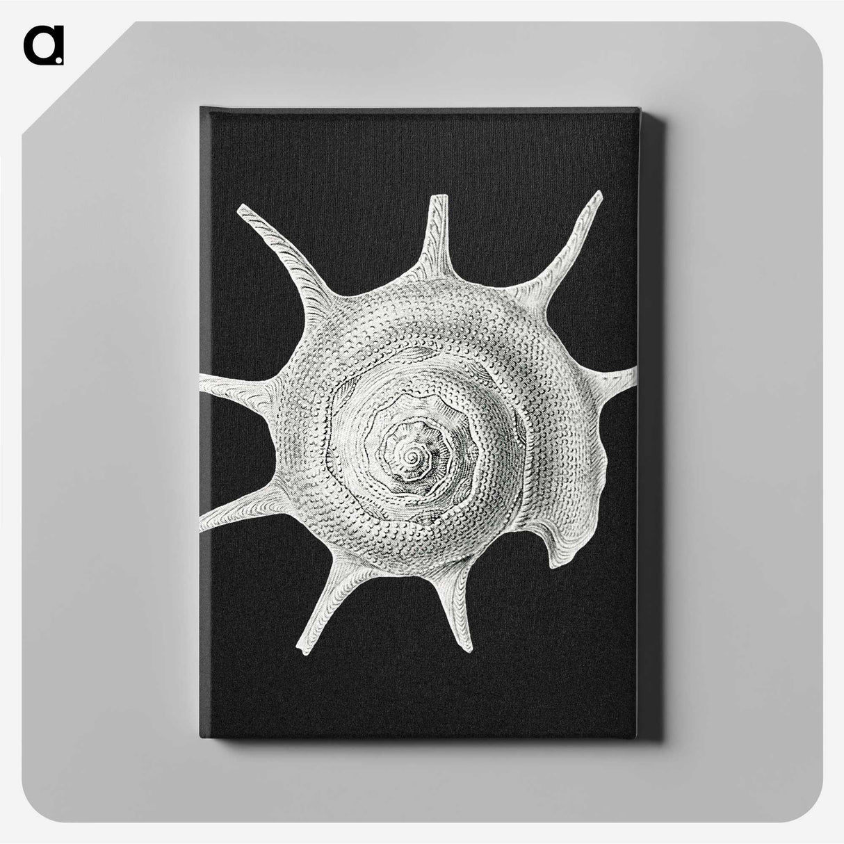 1-79_Ernst-Haeckel_canvas