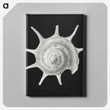1-79_Ernst-Haeckel_canvas