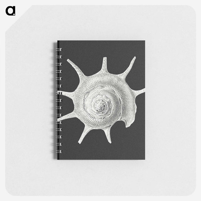 1-79_Ernst-Haeckel_memo