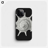 1-79_Ernst-Haeckel_phone