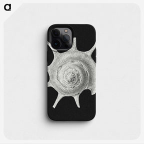 1-79_Ernst-Haeckel_phone