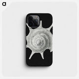 Vintage shell marine life illustration - エルンスト ヘッケル Phone Case.