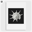 1-79_Ernst-Haeckel_picture