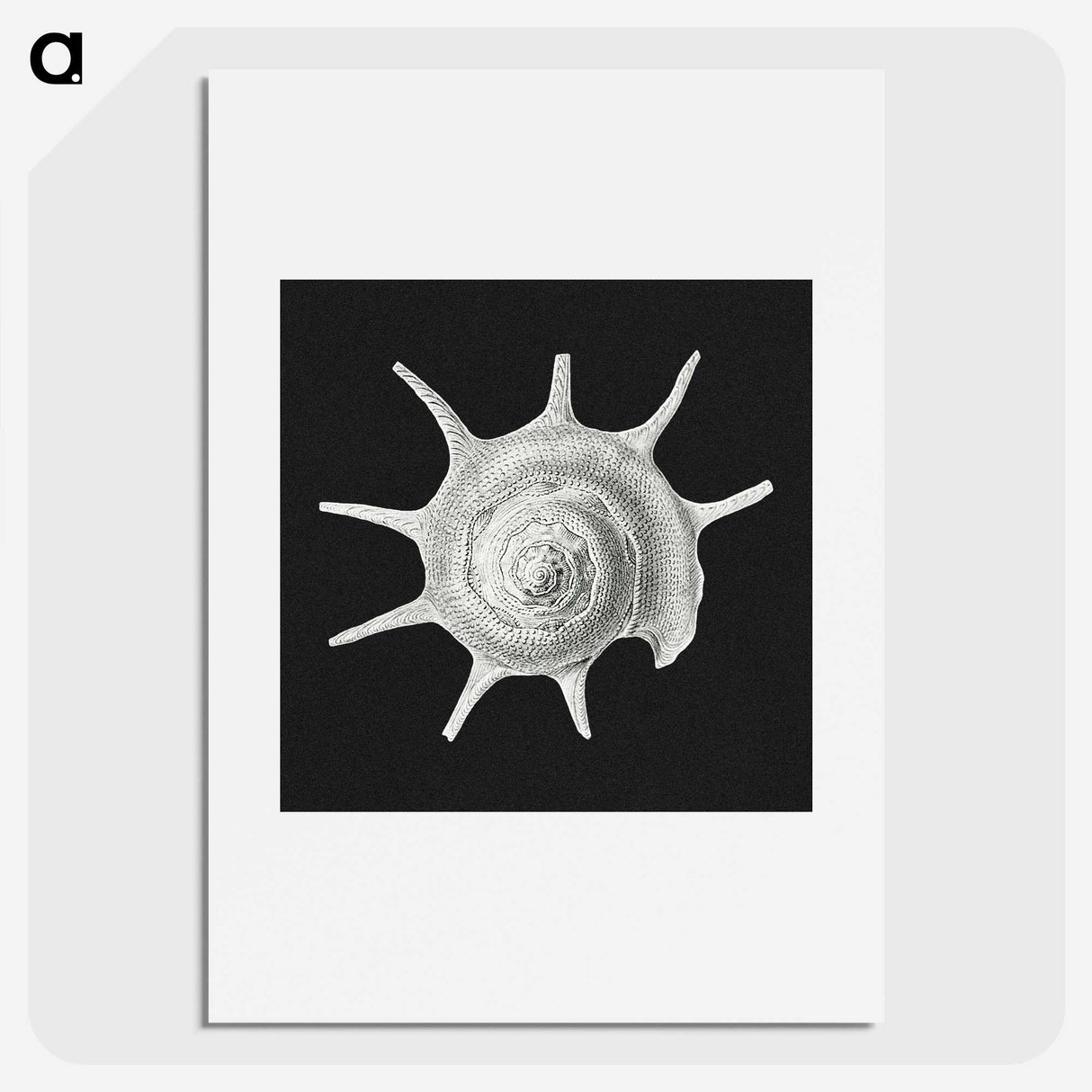 1-79_Ernst-Haeckel_picture