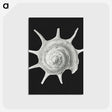 1-79_Ernst-Haeckel_postcard