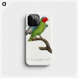 1-79_Francois-Levaillant_phone