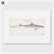 1-79_Frank-Edward-Clarke_picture