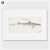 1-79_Frank-Edward-Clarke_picture