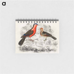 アートメモ帳-Birds Sketch
 - ゴールドスミスの生き生きとした自然 Memo.