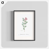 1-79_Histoire-des-Plantes-Grasses_blk