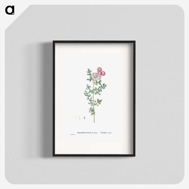 1-79_Histoire-des-Plantes-Grasses_blk