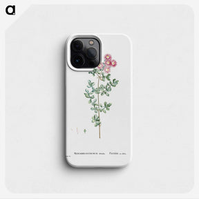 1-79_Histoire-des-Plantes-Grasses_phone