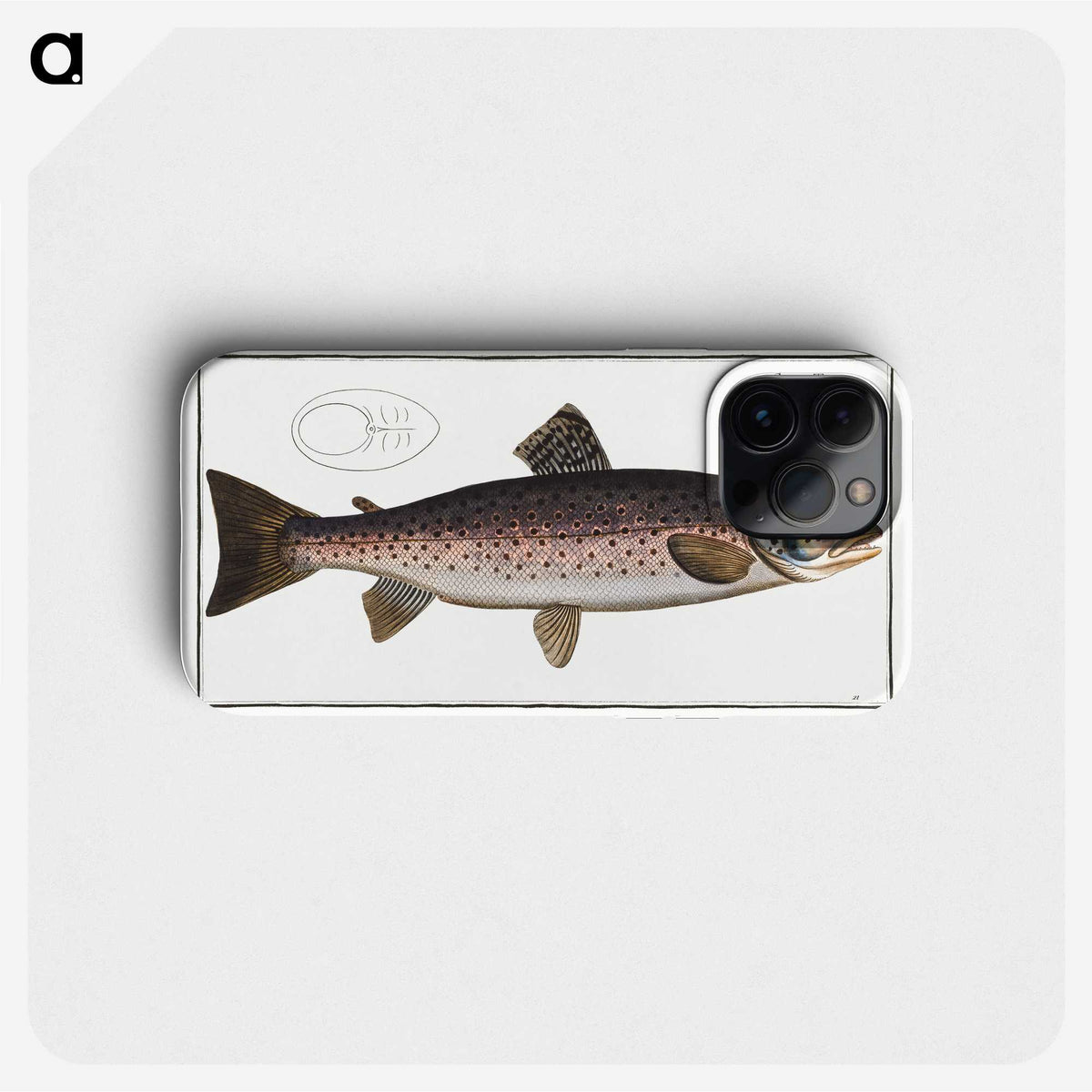 1-79_Ichtyologie-ou-Histoire-naturelle_phone