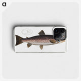 1-79_Ichtyologie-ou-Histoire-naturelle_phone