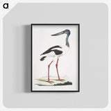 1-79_Indian-Zoology_blk-crop
