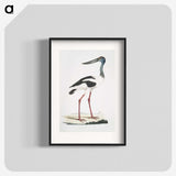 1-79_Indian-Zoology_blk