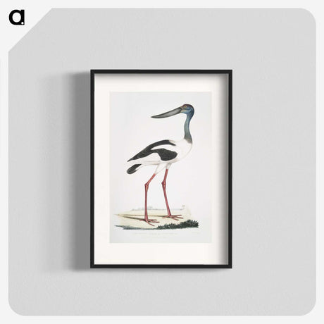 1-79_Indian-Zoology_blk