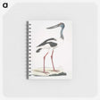 1-79_Indian-Zoology_memo