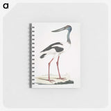 1-79_Indian-Zoology_memo